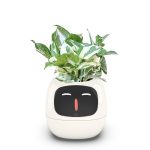 USB Auto Absorbent Planter Brand New PP Resin Plastic Round Eco-friendly Interactive - Image 6