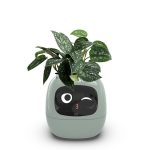USB Auto Absorbent Planter Brand New PP Resin Plastic Round Eco-friendly Interactive - Image 4