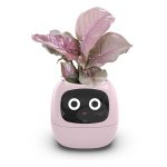 USB Auto Absorbent Planter Brand New PP Resin Plastic Round Eco-friendly Interactive - Image 5