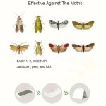 Hot sell pheromone moth trap high effective pantry moth traps eco-friendly moth traps - Image 7